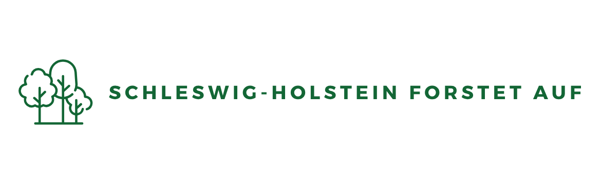 Schleswig-Holstein forstet auf